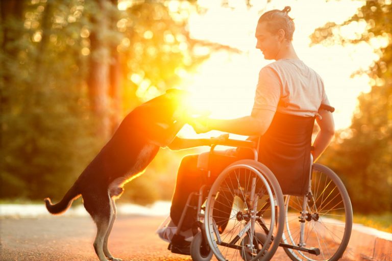 things-to-consider-before-owning-an-emotional-support-dog-active-spectrum